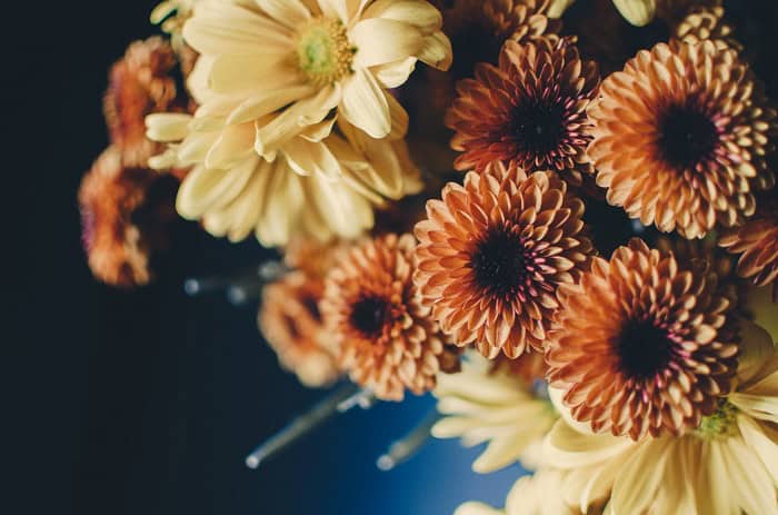 Fall Decor Mums