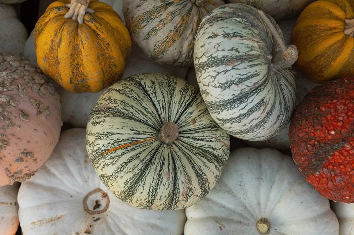 Fall Decor Pumpkins